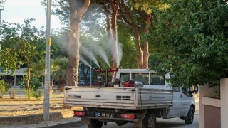 Gaziemirde sivrisineklere karşı ilaçlama çalışmaları hız kazandı