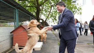 Kadıköy Belediyesi Geçici Hayvan Bakımevi Yenilendi