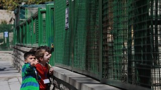 Minikler Can Dostlarla Tanıştı