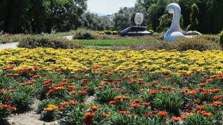 Osmangazinin her yeri çiçek kokuyor