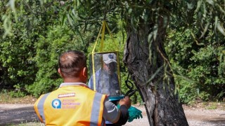 Sarısu Kadınlar Plajı 1 Haziranda açılıyor