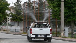 Selçukluda ilaçlama çalışmaları başladı