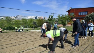 Yaşam Bahçesi yaza hazır