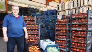 Alanya Toptancı Halinde sona yaklaşıldı