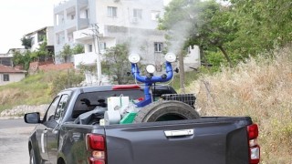 Bayraklıda haşereyle mücadele sürüyor