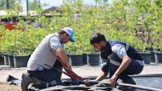 Büyükşehirin fidanlığı Kocaelini yeşillendiriyor