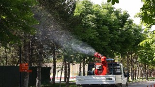 Çankaya Belediyesinden Yaz Aylarına Özel İlaçlama