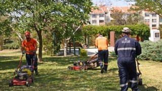 Çankaya Parklarında Çimler Biçiliyor, Otlar Temizleniyor