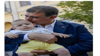 Devrilen çınar ağacı yerine yenisi dikildi