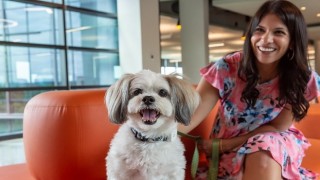 Evcil Hayvanlar İçin Açılan Kapılar, İş Dünyasında Bambaşka Bir Dönüşümü Beraberinde Getiriyor
