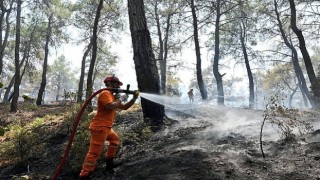 Hasat Mevsiminde Orman Yangını Alarmı