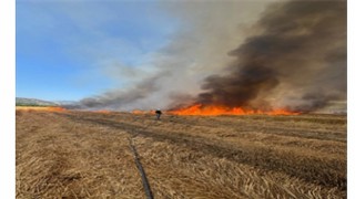 İzmir İtfaiyesi son 48 saatte 220 yangına müdahale etti