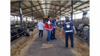 Kartepede Kurban Kesim Yerleri Denetleniyor