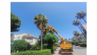 Kemerde yeşil alanlarda bakım çalışmaları