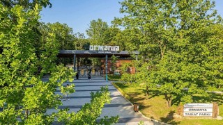 Ormanyada yaz hazırlıkları tamam