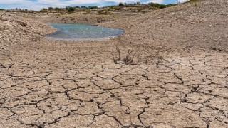 TEMA Vakfı Toprağı İyileştirmek, Doğayı ve Geleceği Korumaktır