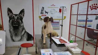 Uludağ Üniversitesi Klinik Beceri Laboratuvarı Açıldı