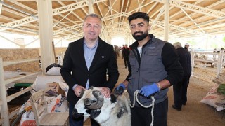 Yeni Kurban Pazarı Alıcının da Satıcının da Yüzünü Güldürdü...