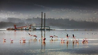 170 hektar alan dip çamurundan arındırıldı