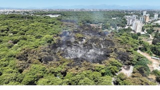 Antalya Büyükşehir Belediyesi İtfaiyesi alevlerle mücadelesini sürdürüyor