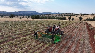 Başkan Altay: “Kuraklığa Dayanıklı Bitki Destekleriyle Çiftçimize Yeni Fırsatlar Sunuyoruz”