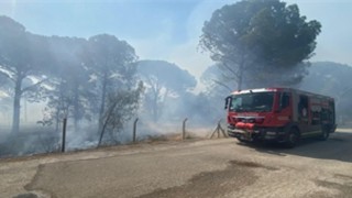 Bergamada orman yangınına müdahale ediliyor