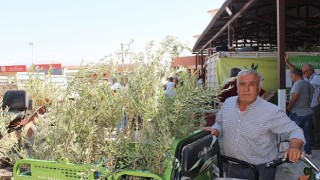 Büyükşehirden 19 ilçeye 40 bin zeytin fidanı desteği