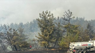 Büyükşehirden Bursadaki yangına tam destek