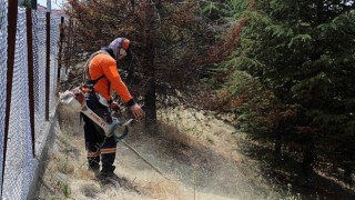 Çankaya, Kent Sağlığı ve Güvenliği İçin Sahada