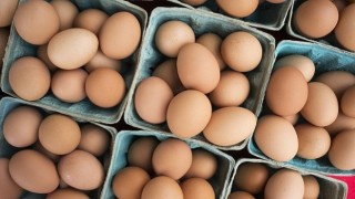 DFİF kesintisi kalktı, yumurta ihracatçısı rahatladı