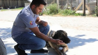 Efes Selçukta “Satın Alma Sahiplen” Çağrısı