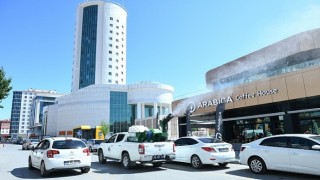 İlçe Genelinde Haşere Mesaisi