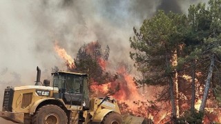 İnegölün Dayanışma Ruhu Yangın Bölgesinde
