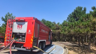 Kent Ormanı Yangını Kısmen Kontrol Altında