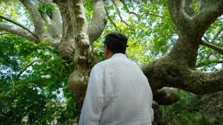 Plant Era: Ela Excellence Resort Belek ile doğa ile bütünleşin