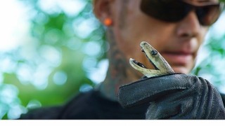 Şehirdeki Yılanlar: Zehrin Ötesi 11 Temmuz Cuma 20.00 de National Geographic WILD Ekranlarında!