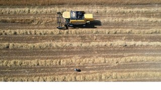 Tarımda verimlilik Büyükşehirle artıyor