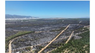 Tugay: Yangın bölgeleri için elimizden geleni yapacağız ama dayanışmaya ihtiyacımız var