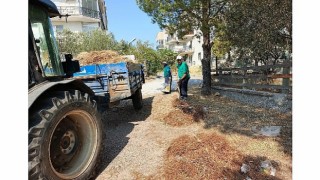 Ayvalık Belediye Başkanı Mesut Ergin; ”Atmayın! Ayvalık Temiz kalsın”