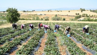 Başkan Altay: “Tarımın Her Alanında Üreticimizin Yanında Olmaya Devam Edeceğiz”