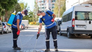 Bucada ilaçlama atağı