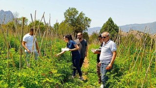 Çankaya Belediyesinden organik pazar denetimleri