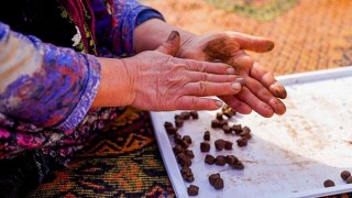 İnci GS Yuasa Aküden doğaya 100.000 tohumluk katkı!