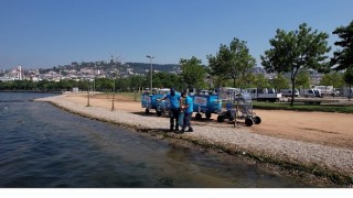 Kocaeli sahilleri hem bakımlı hem de pırıl pırıl