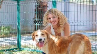 Konakın patili dostları ömürlük yuvalarını bekliyor