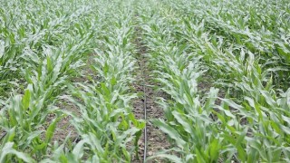 PepsiCo Suyun Geleceğini Koruma Konusunda Kararlı Adımlar Atmaya Devam Ediyor