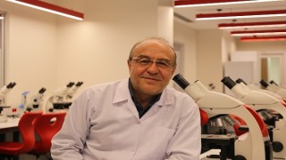 Pestisitler, arı nüfusunu da tehdit ediyor! Arıların yok oluşu zincirleme bir çöküşe sebep olur!