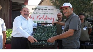 Yüzde 50 Hibeli Kışlık Sebze Fidesi Desteği Üreticilerle Buluştu