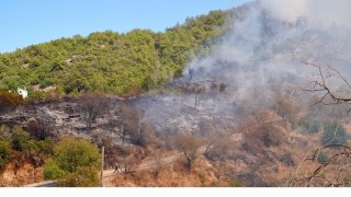 Başkan Vekili Özdemir yangın bölgesinde