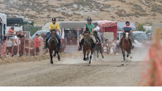 Türkiyenin en başarılı atları Menemende yarışacak